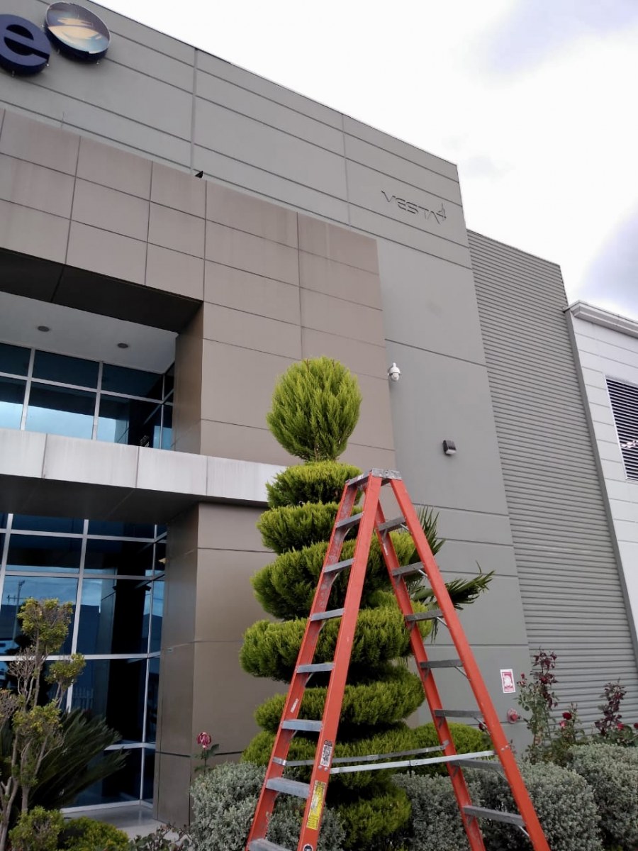 Servicio de jardinería