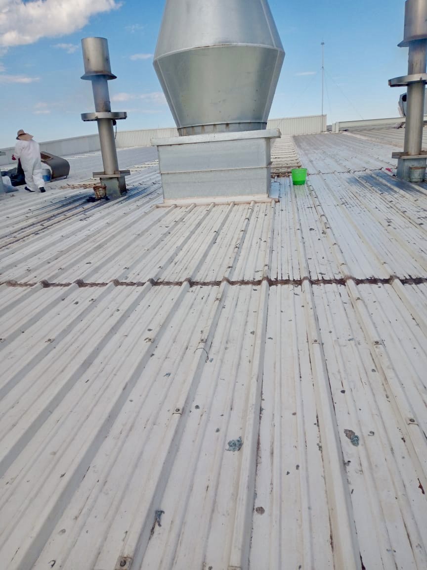 Limpieza de techumbres